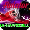 antigua hawksbill Apps (Tools & Injectors) Ultimate v1.6.5