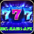 bbl big bash apk Gold Edition v4.0.8