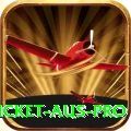 cricket aus - Pro Edition v2.5.1