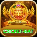 cricket bat Max Pro v2.8.7