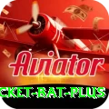 cricket bat Casino Pro v1.4.0
