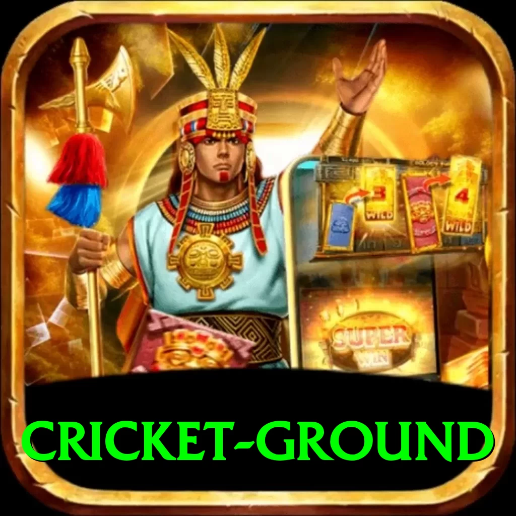 cricket ground VIP Edition v1.3.5 - 2