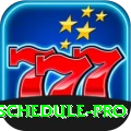 cricket match schedule Premium Gaming App