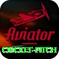 cricket pitch Apps (Tools & Injectors) Max v1.9.7