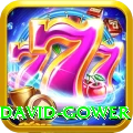 david gower Plus Edition v3.9.6