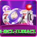 dhampus rice terrace Premium v4.3.0