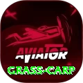 grass carp Games (Casino & Earning) Max v1.4.4