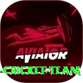 hong kong cricket team Gold Pro v4.1.4