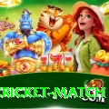 india cricket match Apps (Tools & Injectors) Turbo v1.8.7