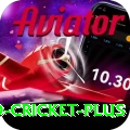 india england cricket Game Prime v5.6.8