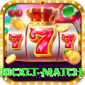 international cricket match Deluxe Pro v1.9.4