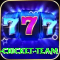 ireland cricket team Turbo Pro v1.1.7