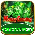 most runs in international cricket Plus APK v2.1.8