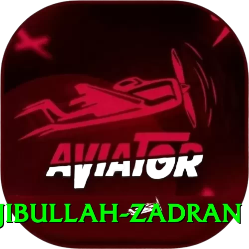 najibullah zadran Plus Edition v4.8.6 - 2