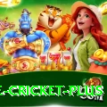 one cricket Bonus Mega v1.4.7