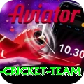 pakistan women cricket team Deluxe Edition v1.9.7