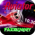 pakrummy Premium v2.8.1