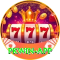 pkwin VIP Pro v1.9.5