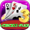 r cricket Supreme PK v4.5.5