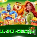 risk free bet cricket Master v1.1.7