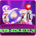 rudi koertzen VIP Pro v2.5.4
