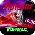 sehwag Apps (Tools & Injectors) Premium v2.8.3