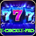 test cricket Pro - Casino & Slots