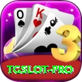 TGSlot Pro1 v2.2.6