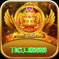 tiger888 Master Pro vv5.1.7