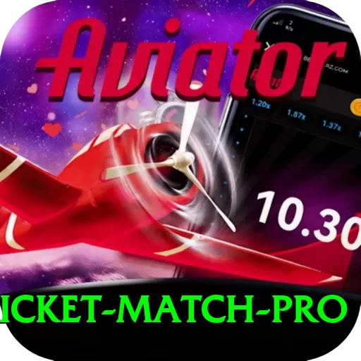 to day cricket match Game Pro v1.4.8 - 2