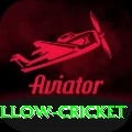 willow cricket Gold Edition v1.7.7