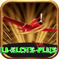 Winli Slots Plus Pro v2.0.8
