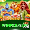 winpkr Premium v4.5.1