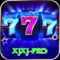 xjxj VIP v1.8.3